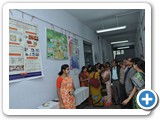 VL_COLLEGE013