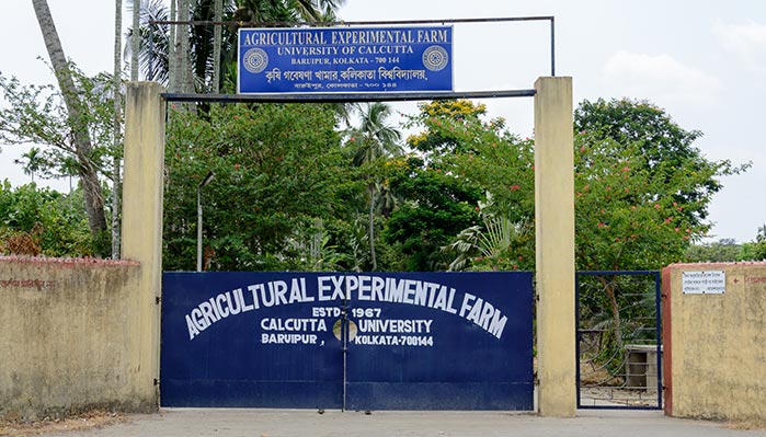 Baruipur|Campus|CU